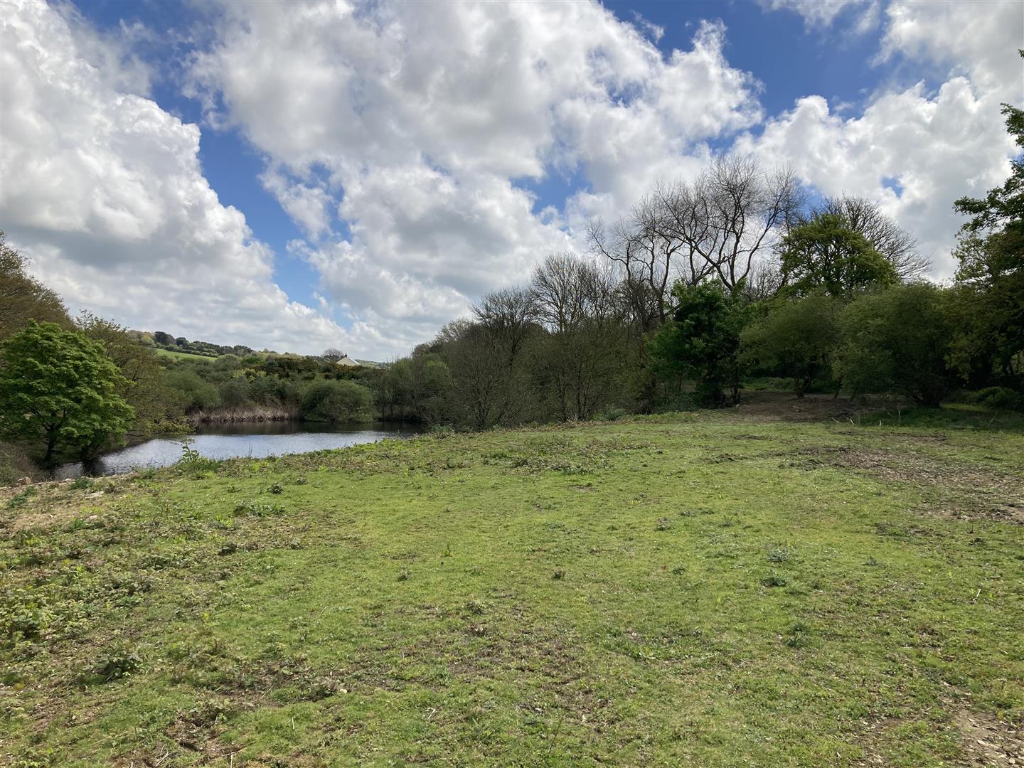 property-in-tregullow-scorrier-redruth