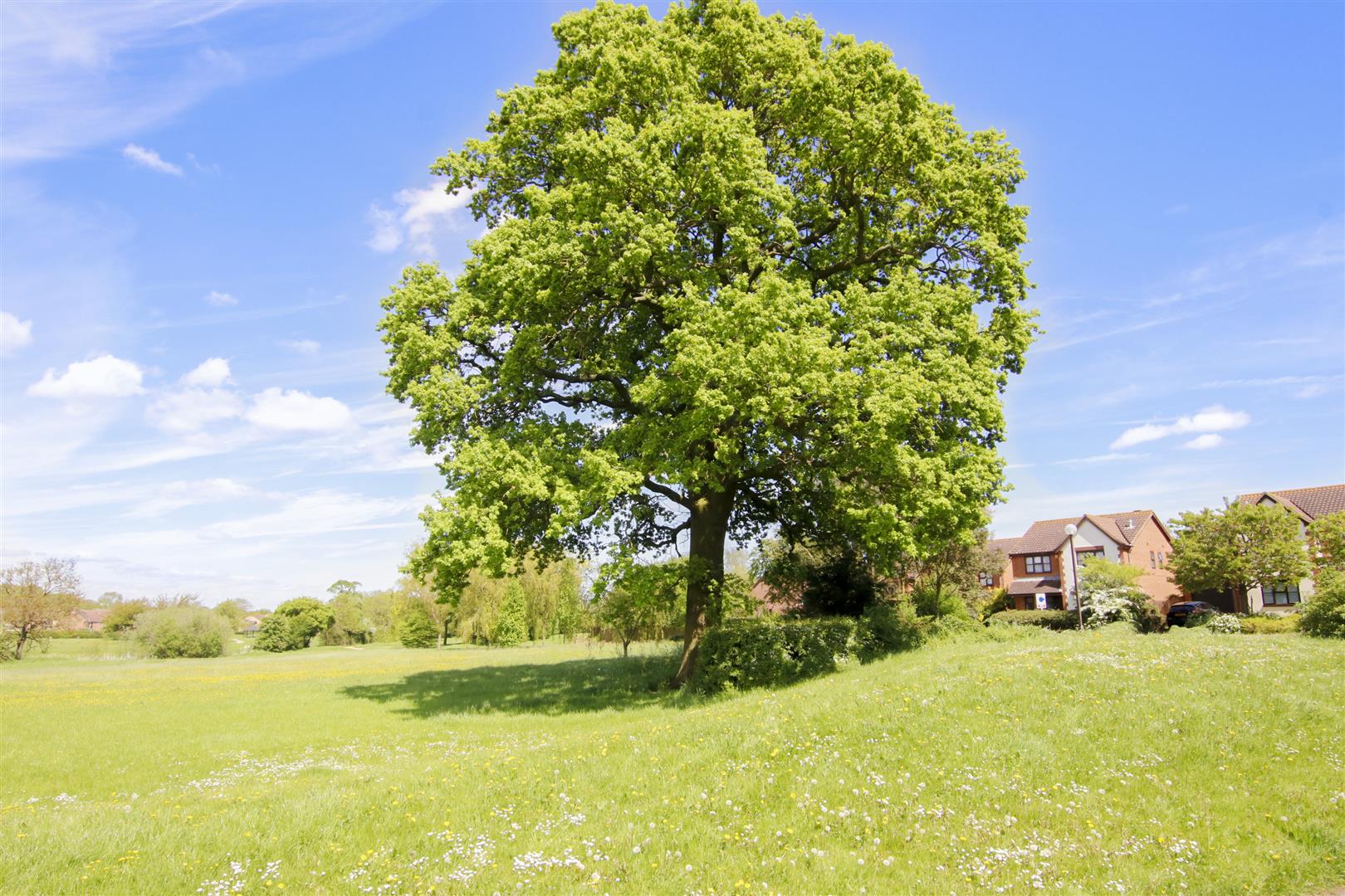 Coverack Place, Milton Keynes, MK4 - Image 9