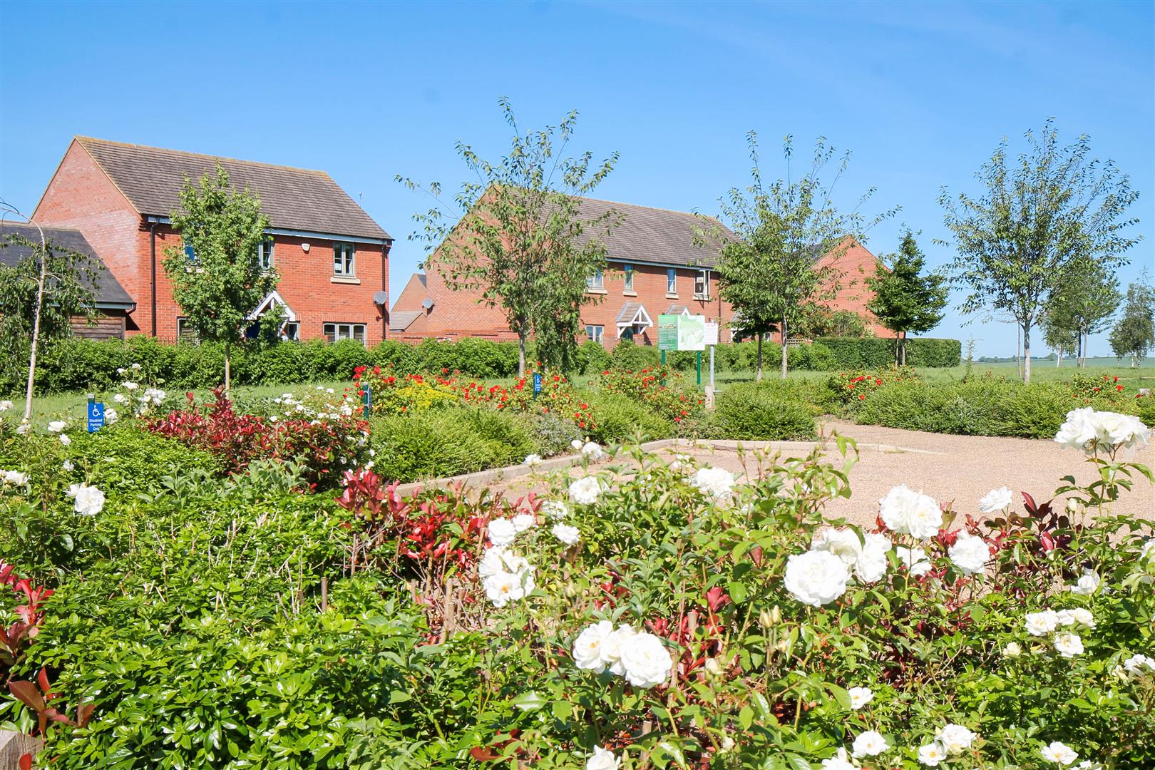 Selkirk Drive, Oakridge Park, Milton Keynes, MK14 - Image 5