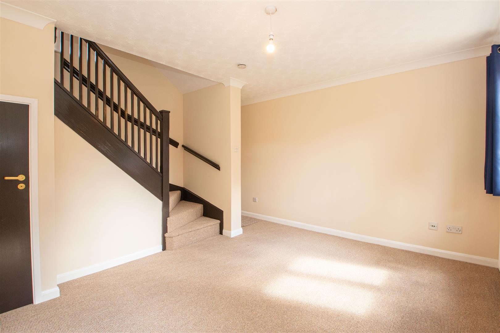 Whitsun Pasture, Willen Park, Milton Keynes, MK15 - Image 4