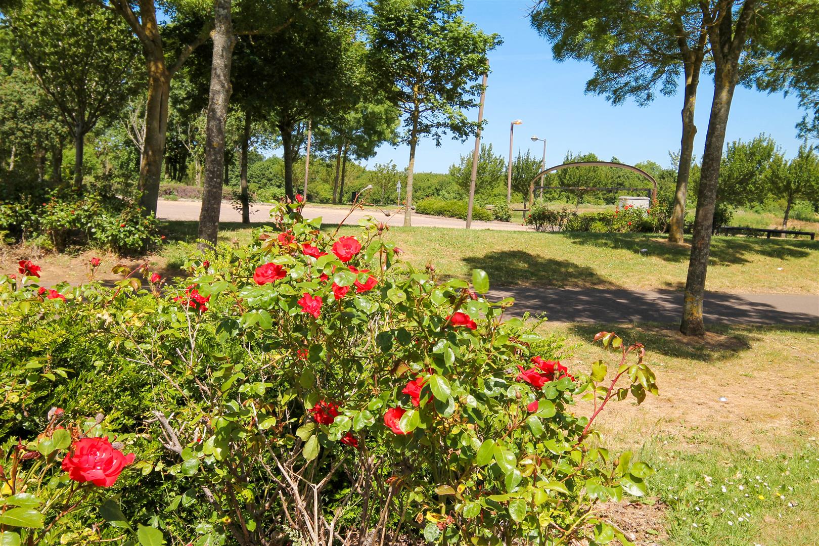 Wrens Park, Middleton, Milton Keynes, MK10 - Image 10