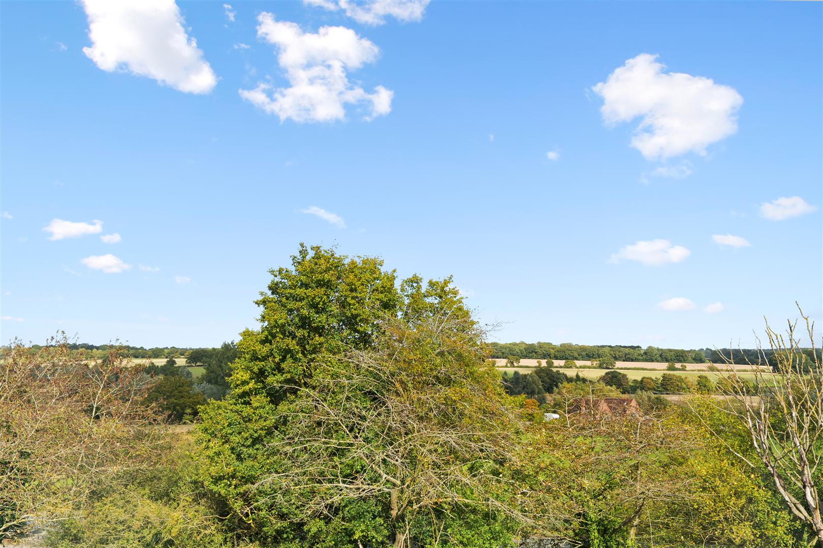 Discovery Close, Braintree, CM7 - Image 10