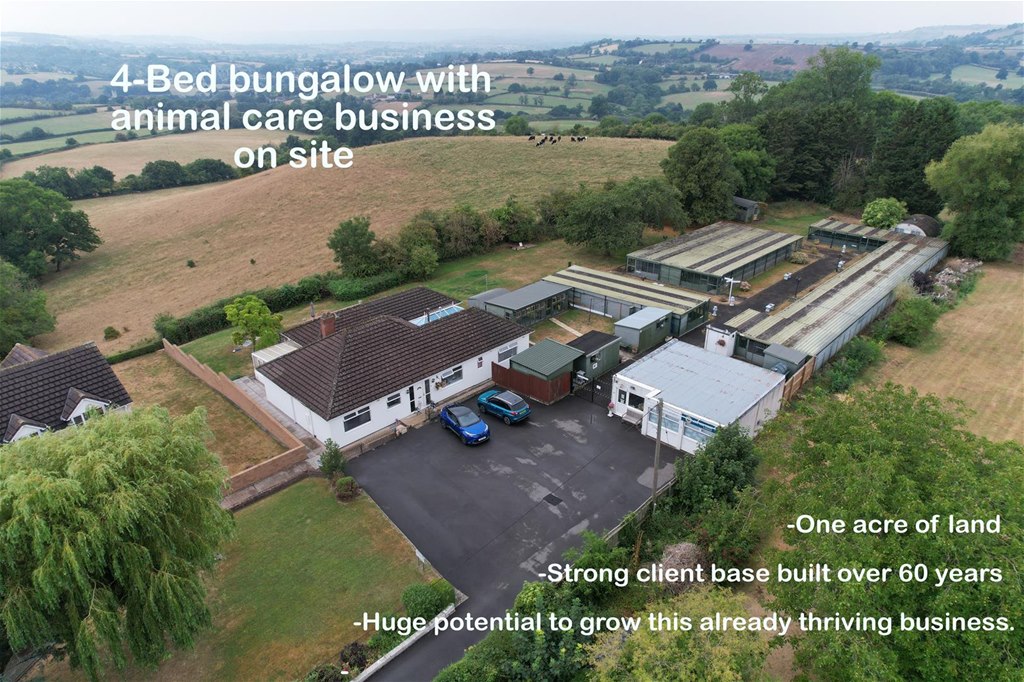 Bristol Estate Agents Eveleighs