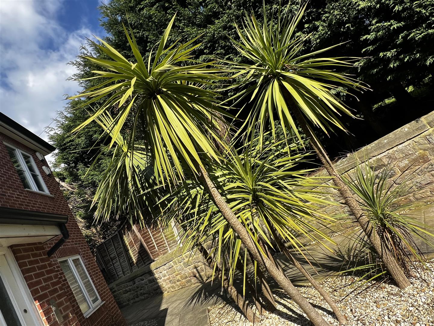 Majestic Court, Darton, Barnsley, S75