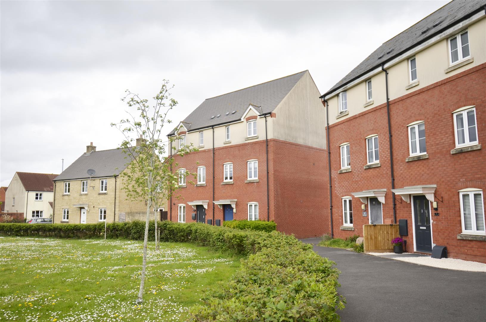 Tori Green, Bridgwater, TA6