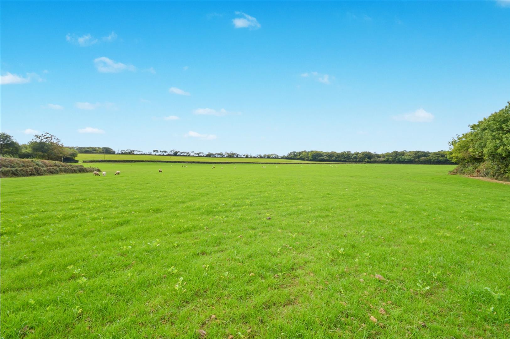 Nr Ashwater, Devon